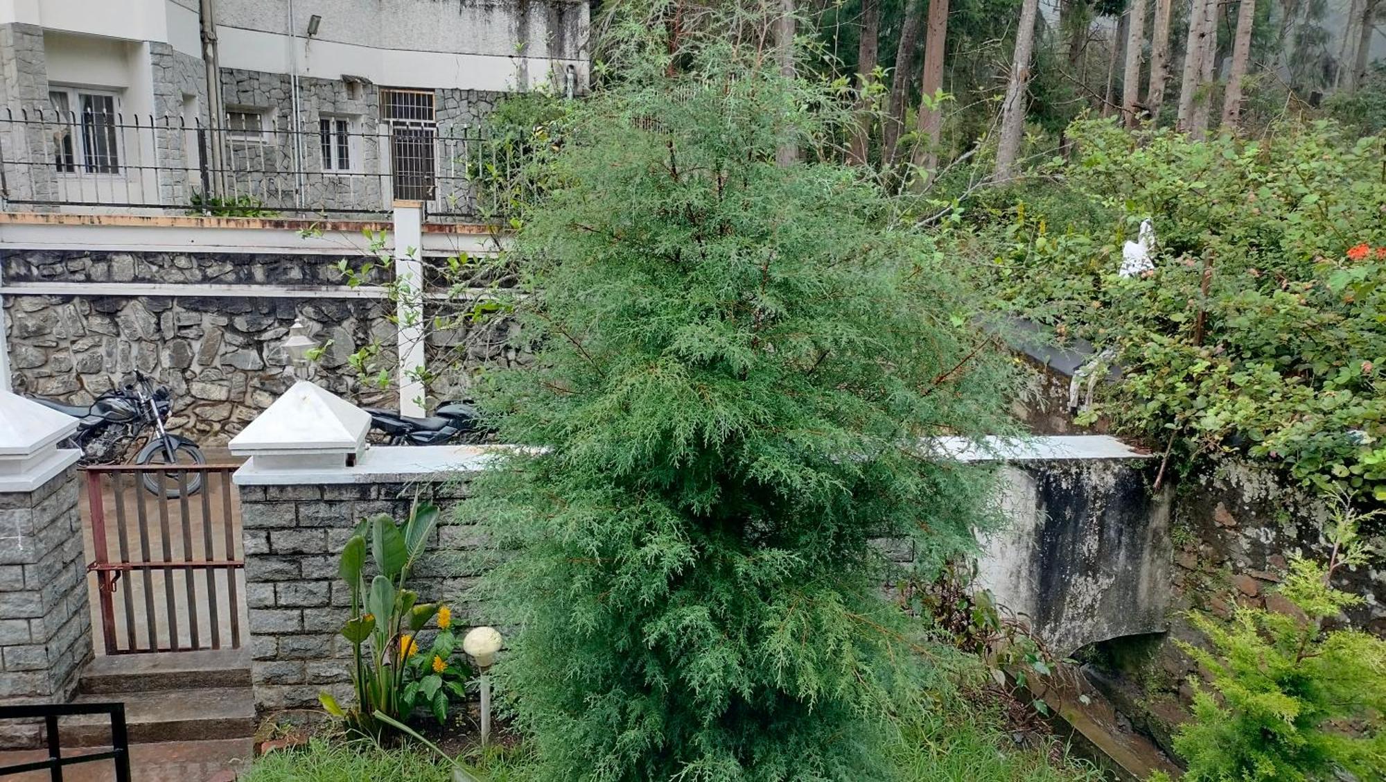 Kodai King Suite Kodaikanal Eksteriør billede