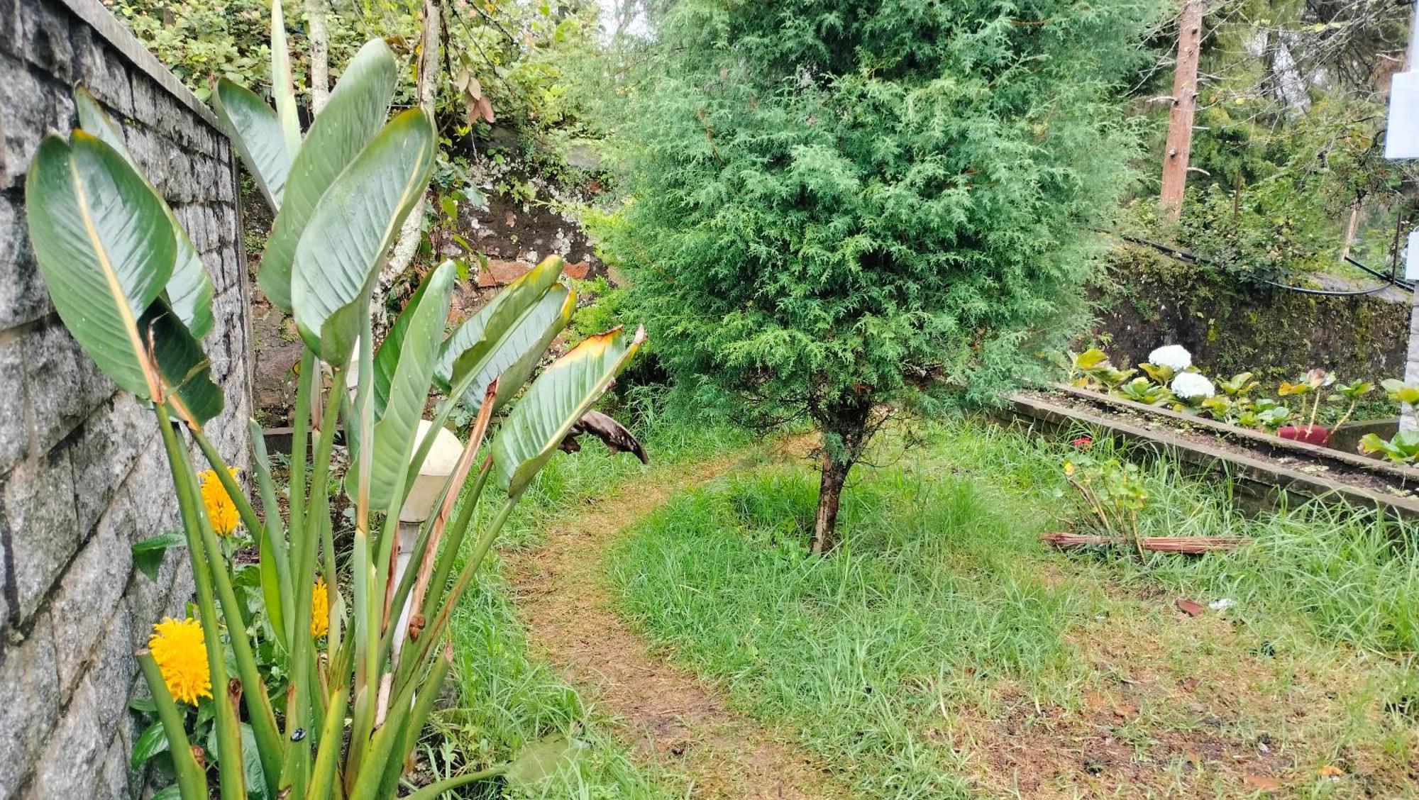 Kodai King Suite Kodaikanal Eksteriør billede
